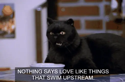 Swimmers GIF